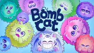 Bomb Cat Banner