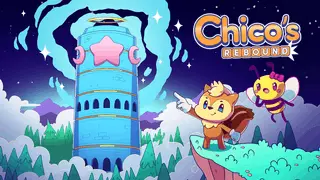 Chico's Rebound Image