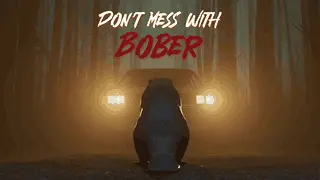 Don't Mess With Bober Image