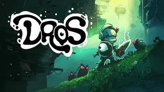 DROS Image