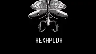 HEXAPODA Icon