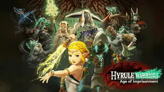 Hyrule Warriors: Age of Imprisonment Icon