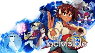 Indivisible Banner
