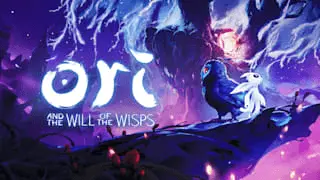 Ori and the Will of the Wisps Banner