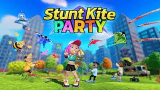 Stunt Kite Party Banner