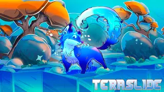 TERASLIDE Image
