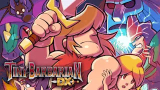Tiny Barbarian DX Image