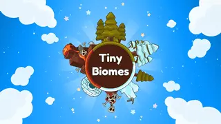 Tiny Biomes Image