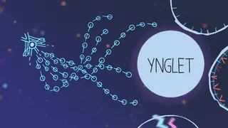 Ynglet Banner
